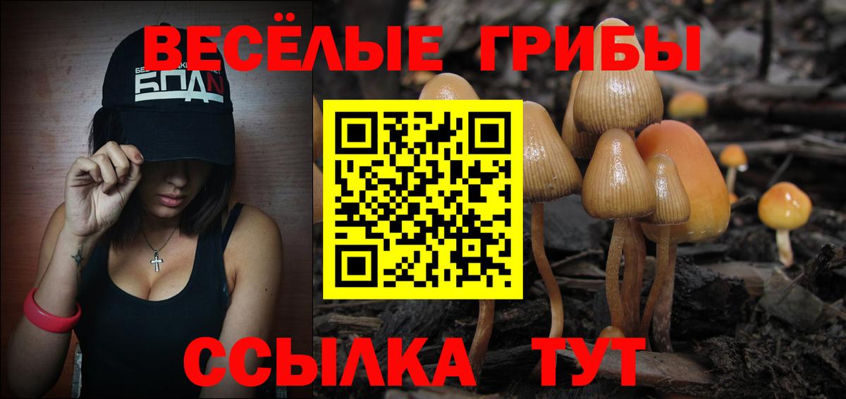 Тимашёвск  Псилоцибиновые грибы Magic Shrooms  Вход с VPN 